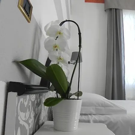 Helios Hotel 4*